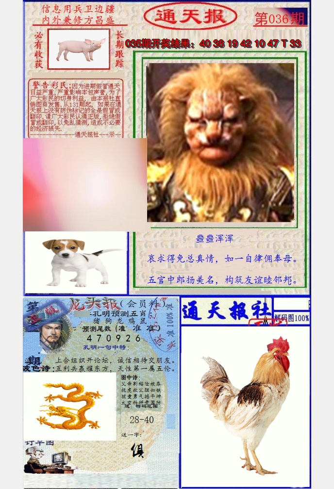 图片加载中