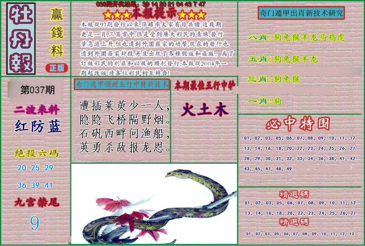 图片加载中