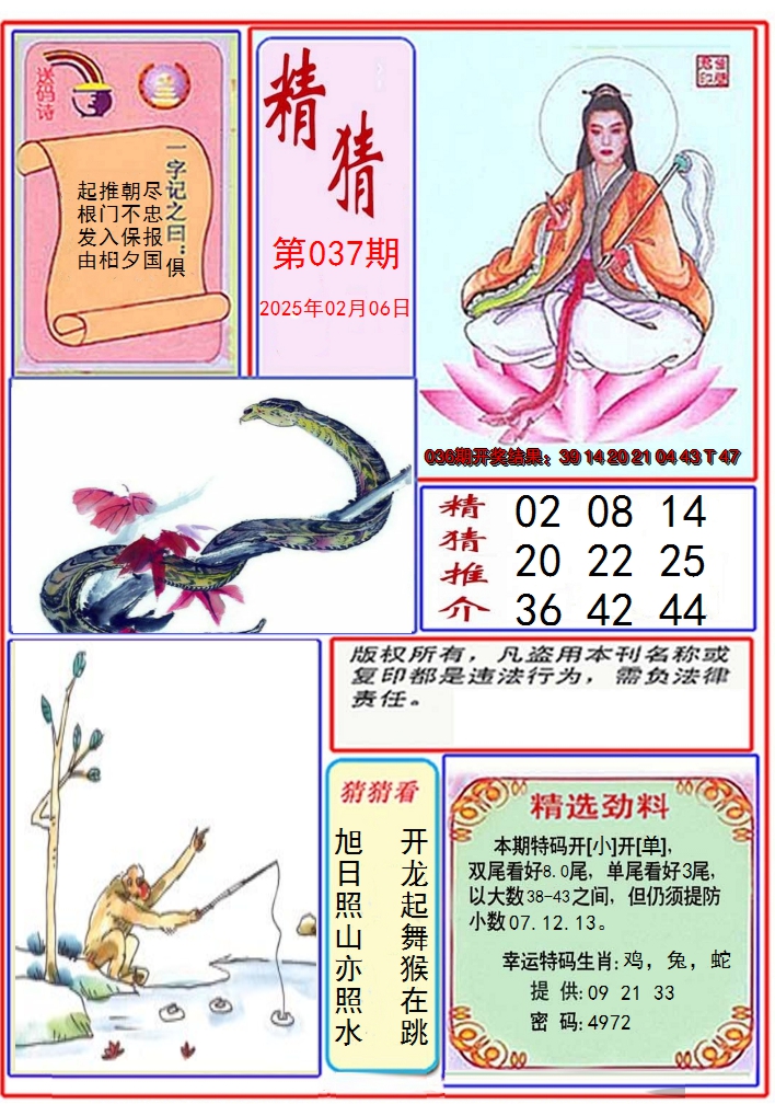 图片加载中