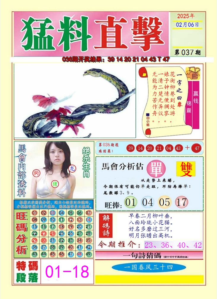 图片加载中