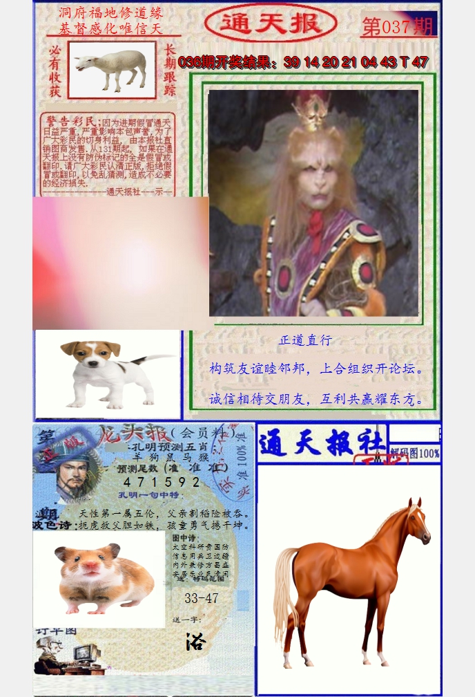图片加载中