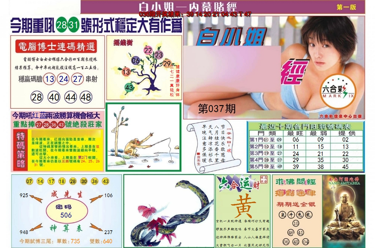 图片加载中