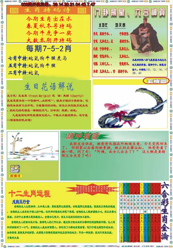 图片加载中