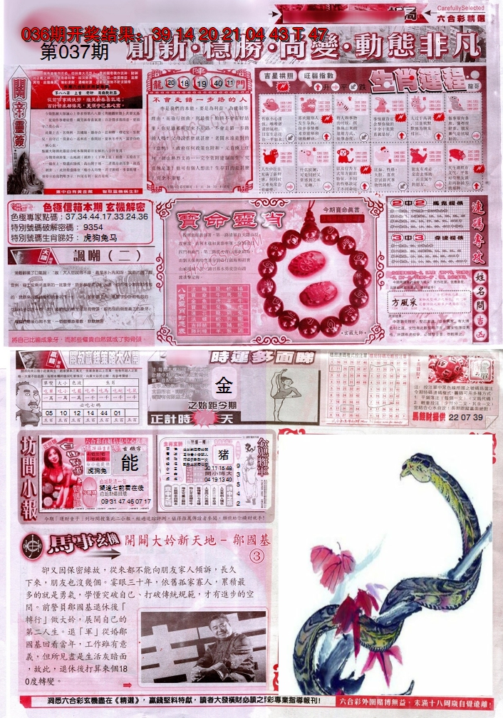 图片加载中