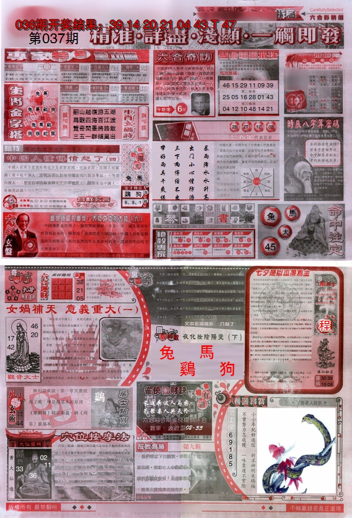 图片加载中