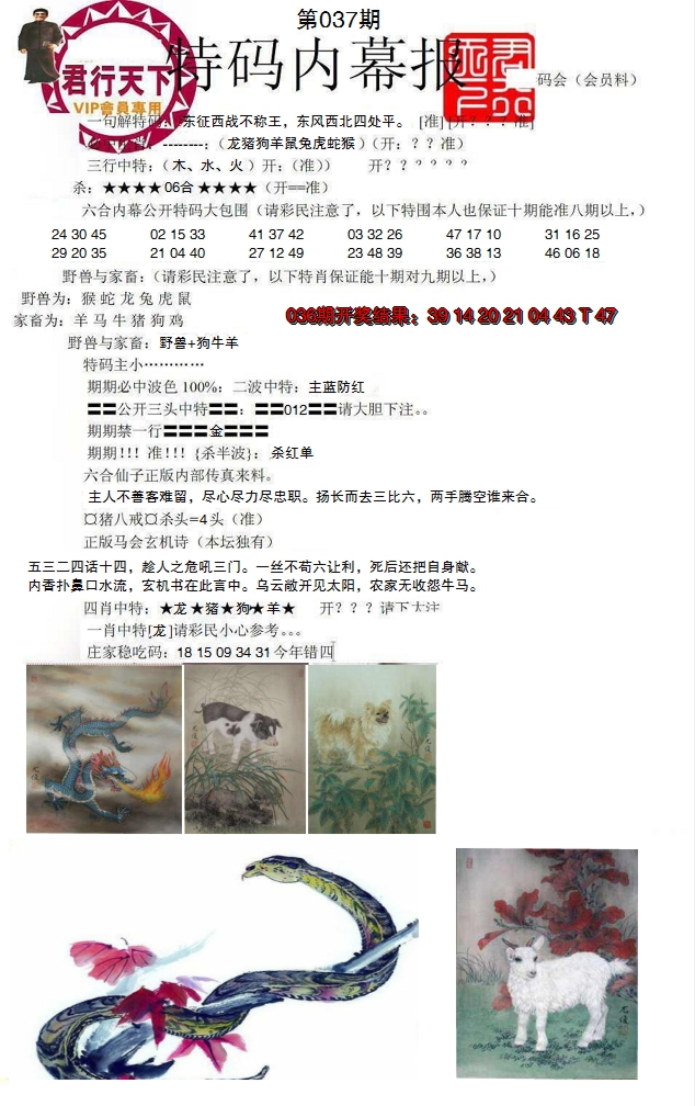 图片加载中