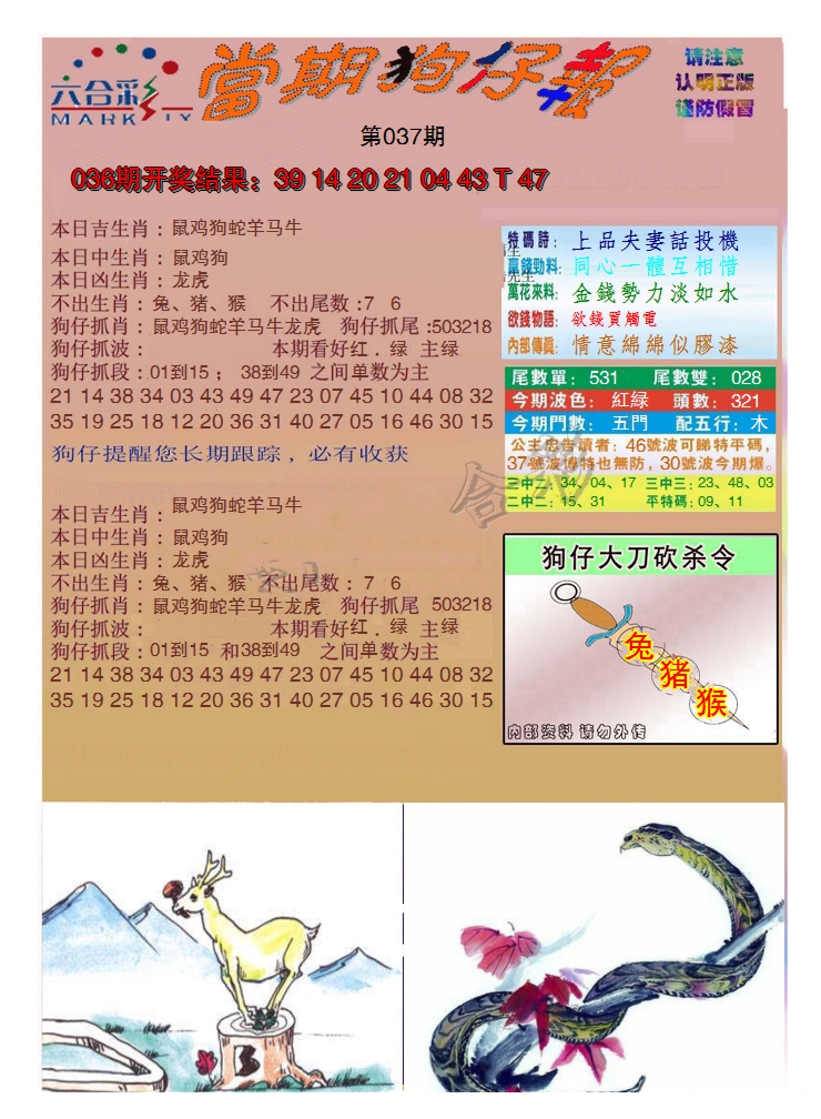 图片加载中