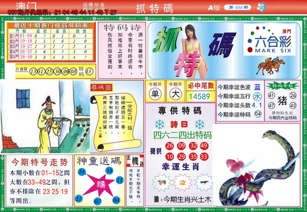 图片加载中