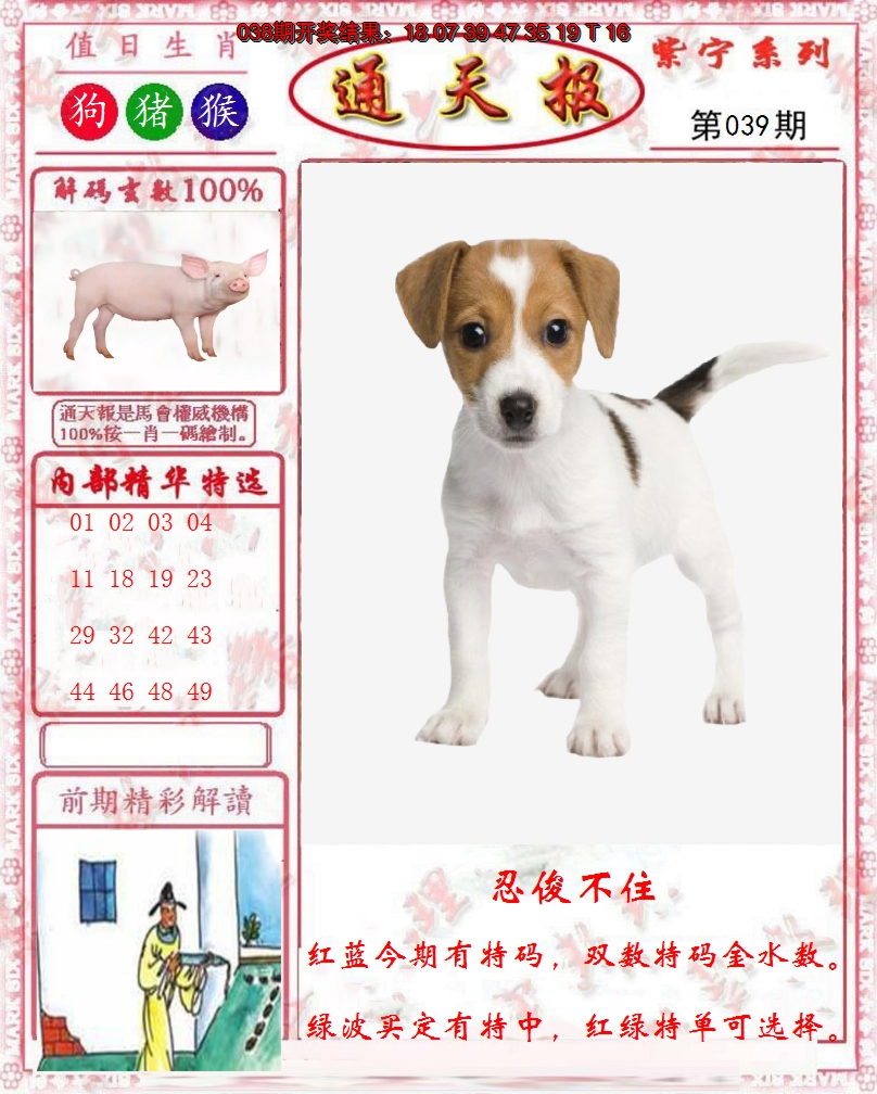 图片加载中