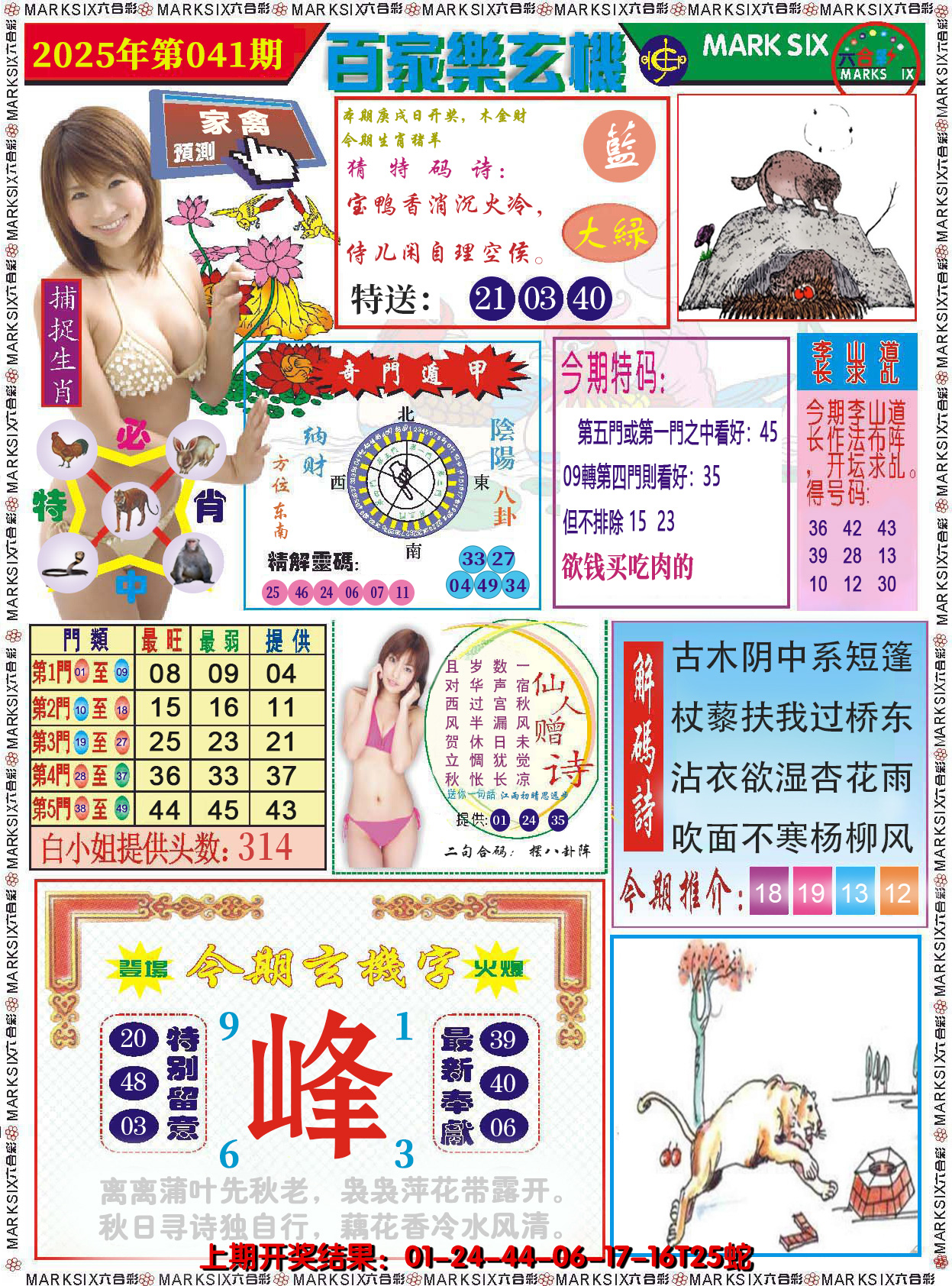 图片加载中