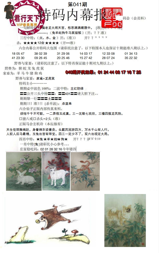 图片加载中