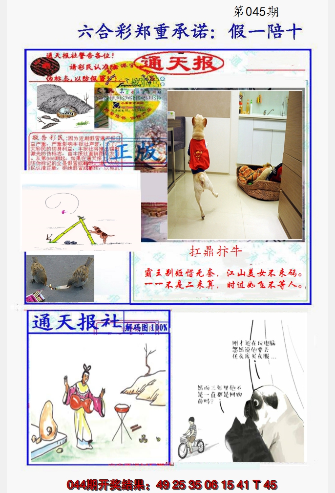 图片加载中