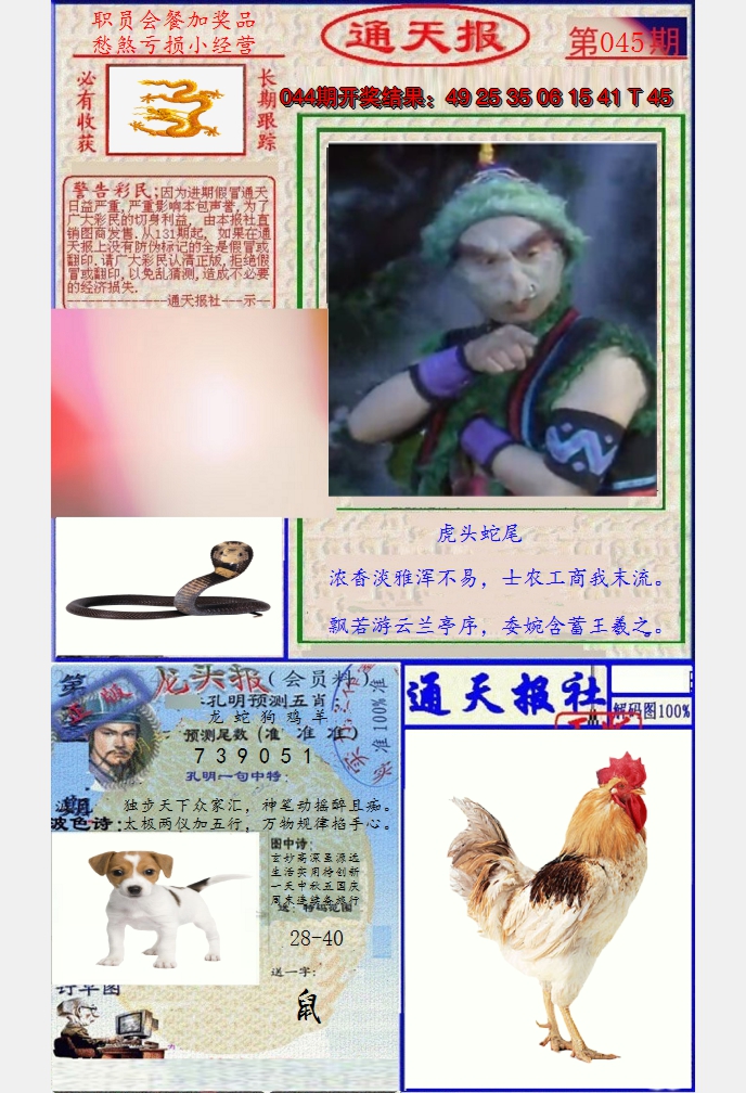 图片加载中