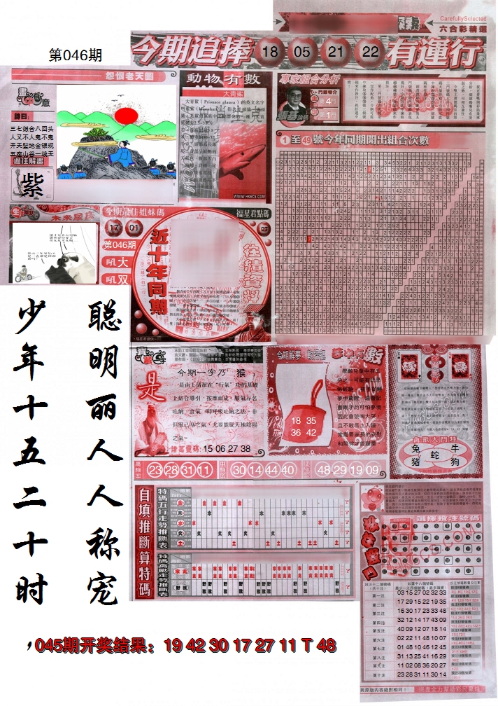 图片加载中
