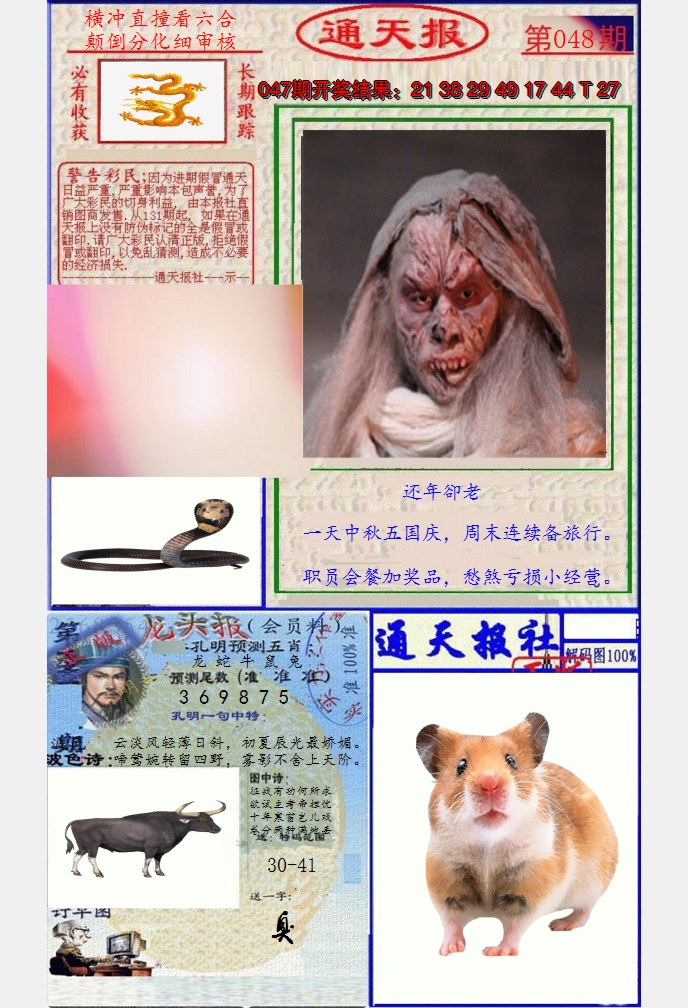 图片加载中
