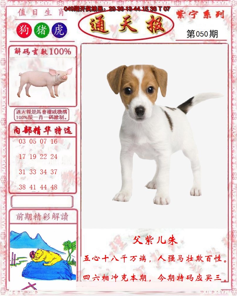 图片加载中