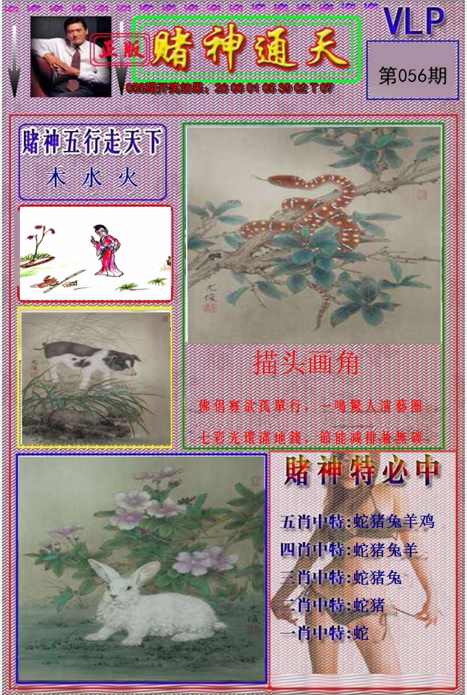图片加载中