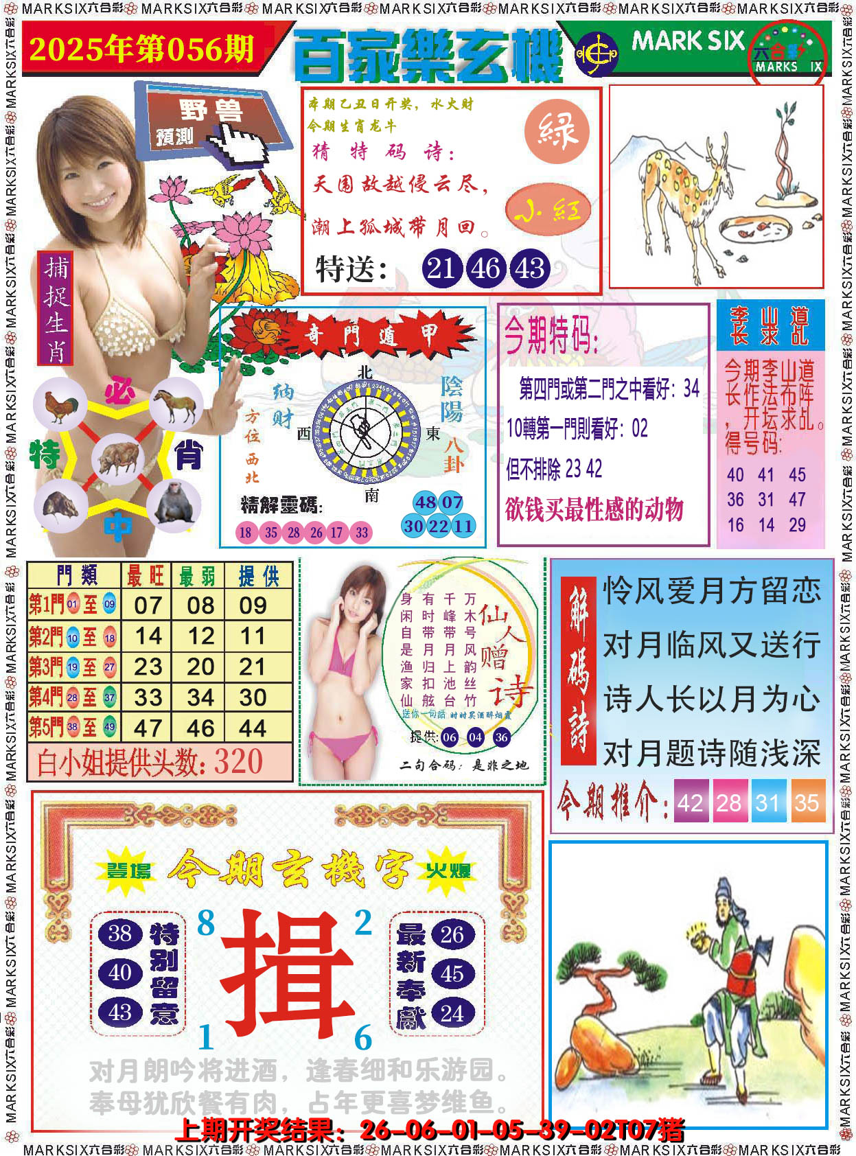 图片加载中