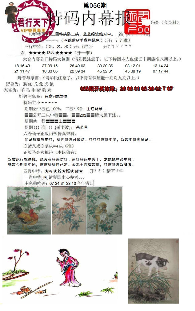 图片加载中
