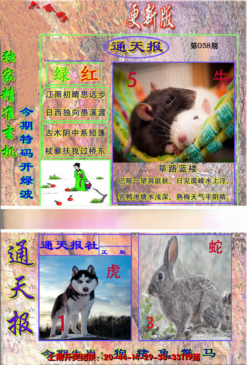 图片加载中