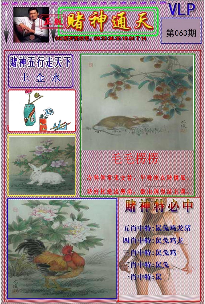 图片加载中