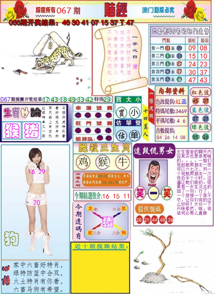 图片加载中