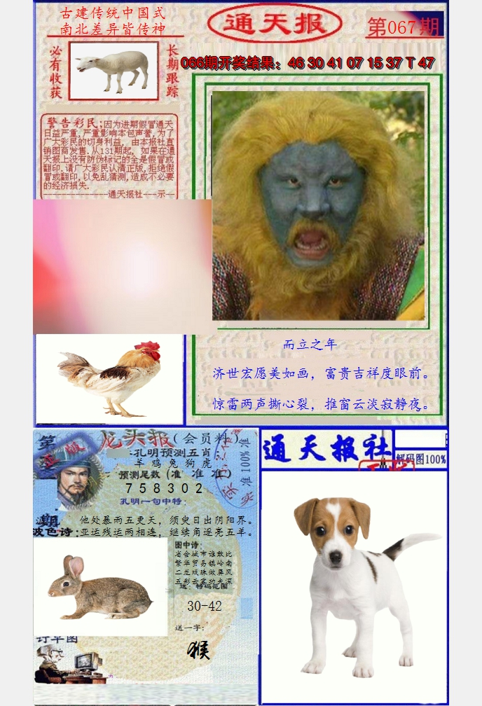 图片加载中