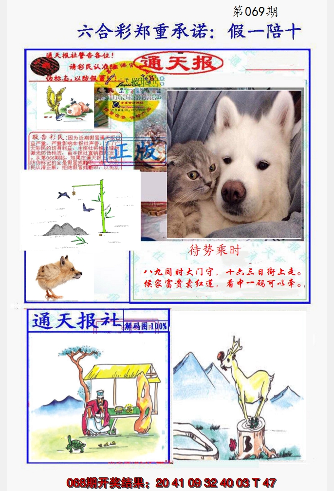 图片加载中
