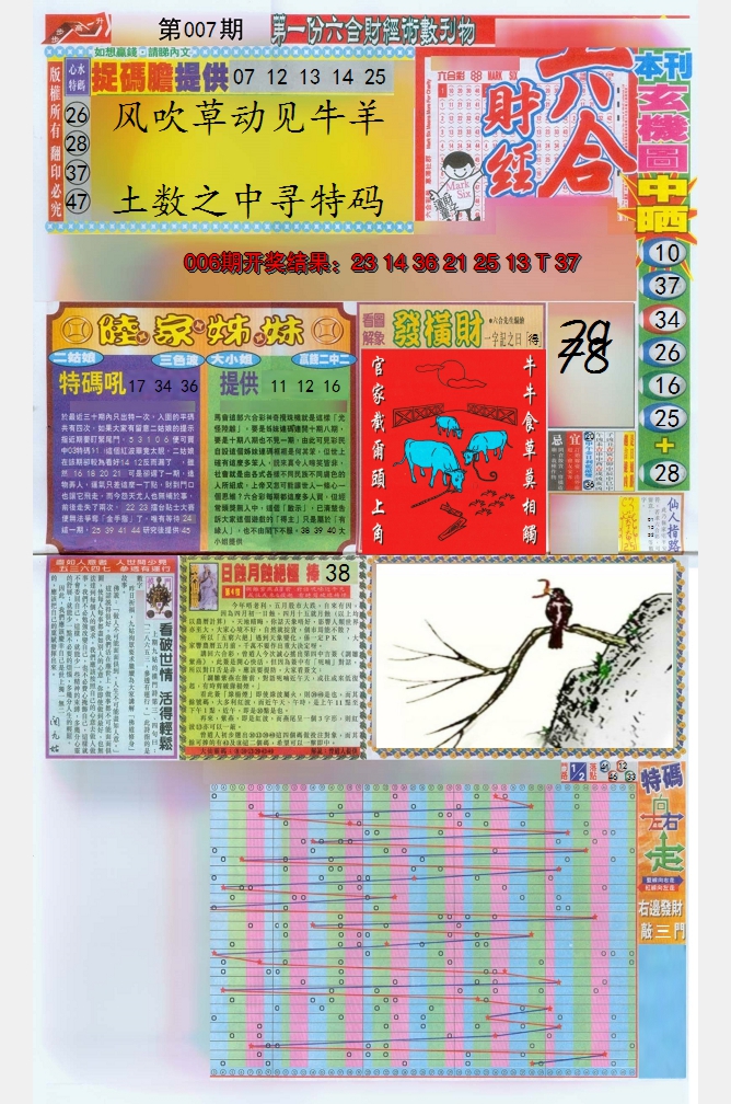 图片加载中
