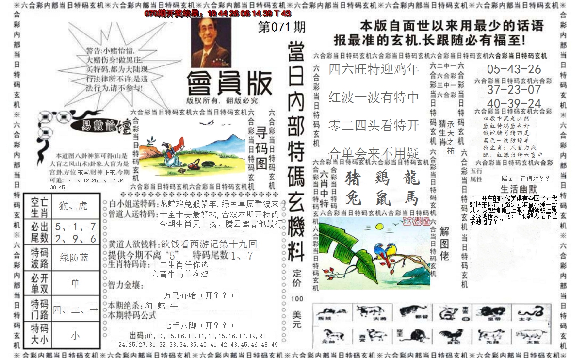 图片加载中