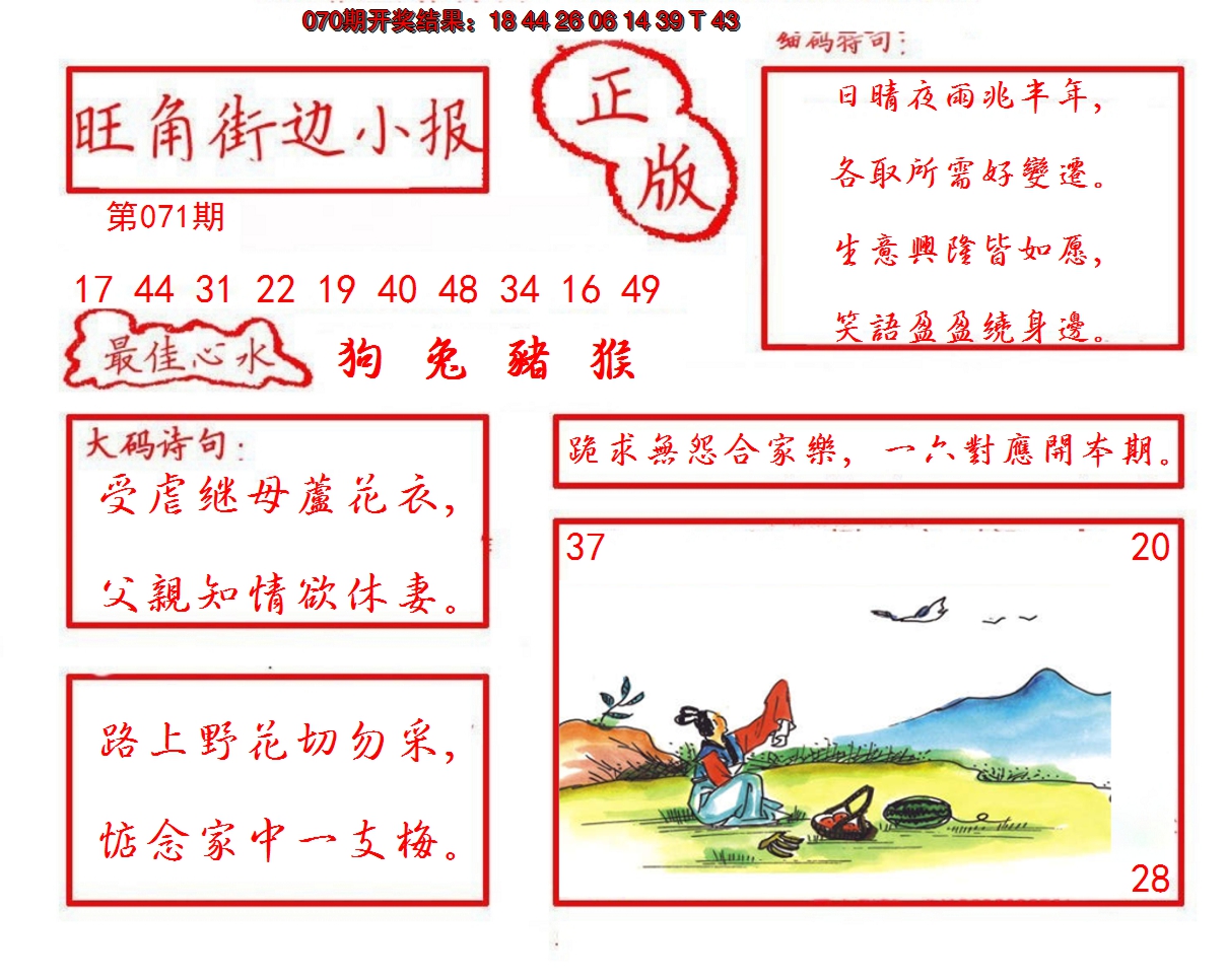 图片加载中