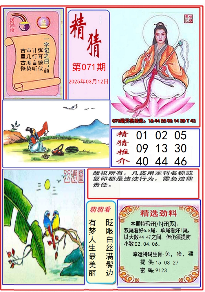 图片加载中