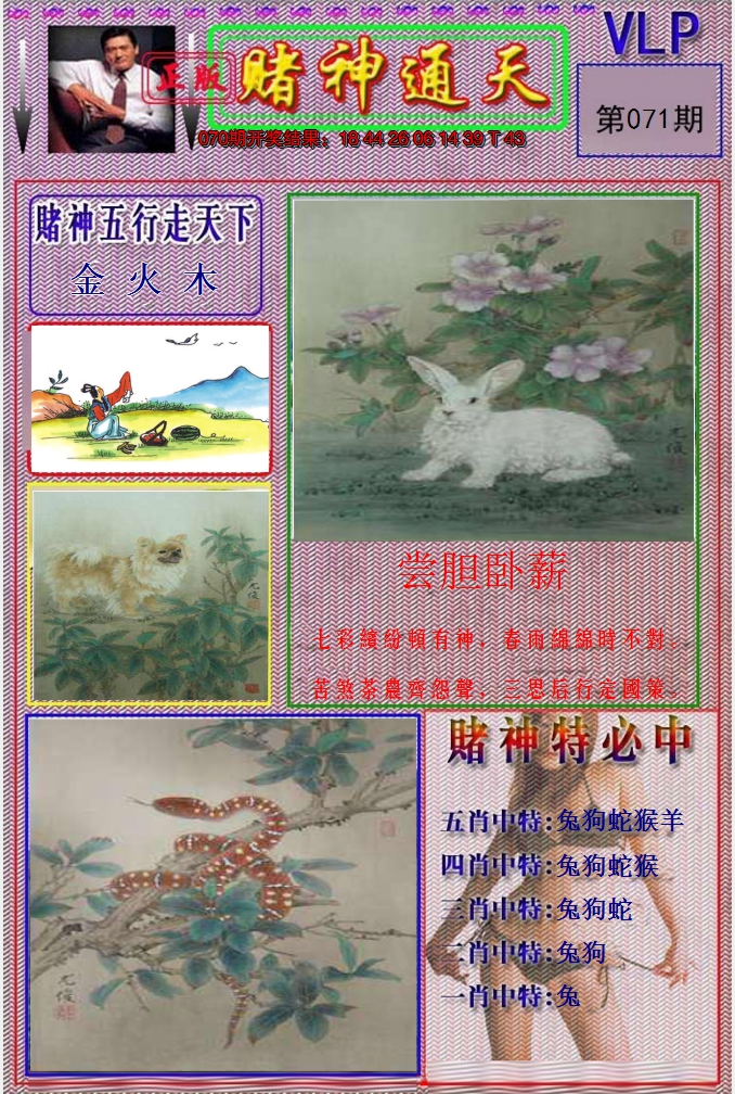 图片加载中