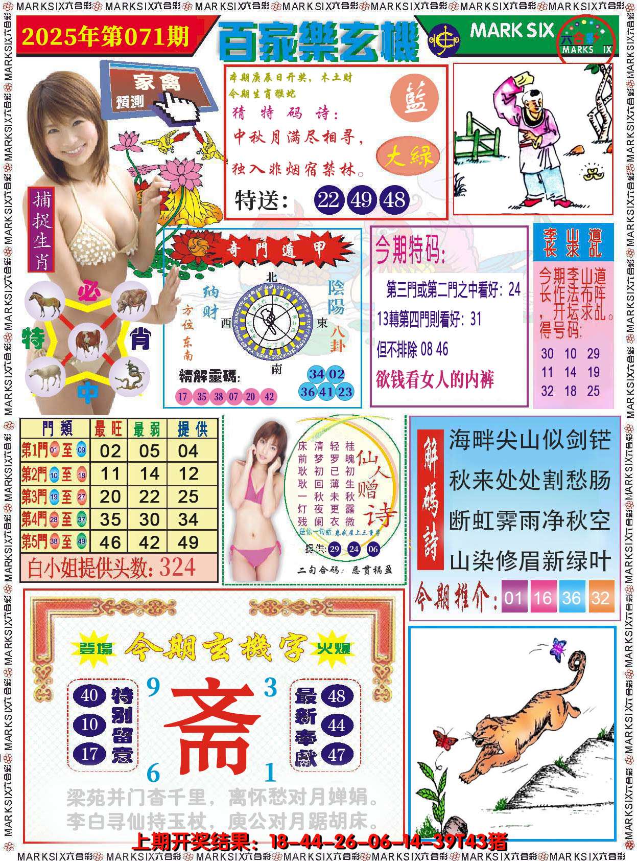 图片加载中