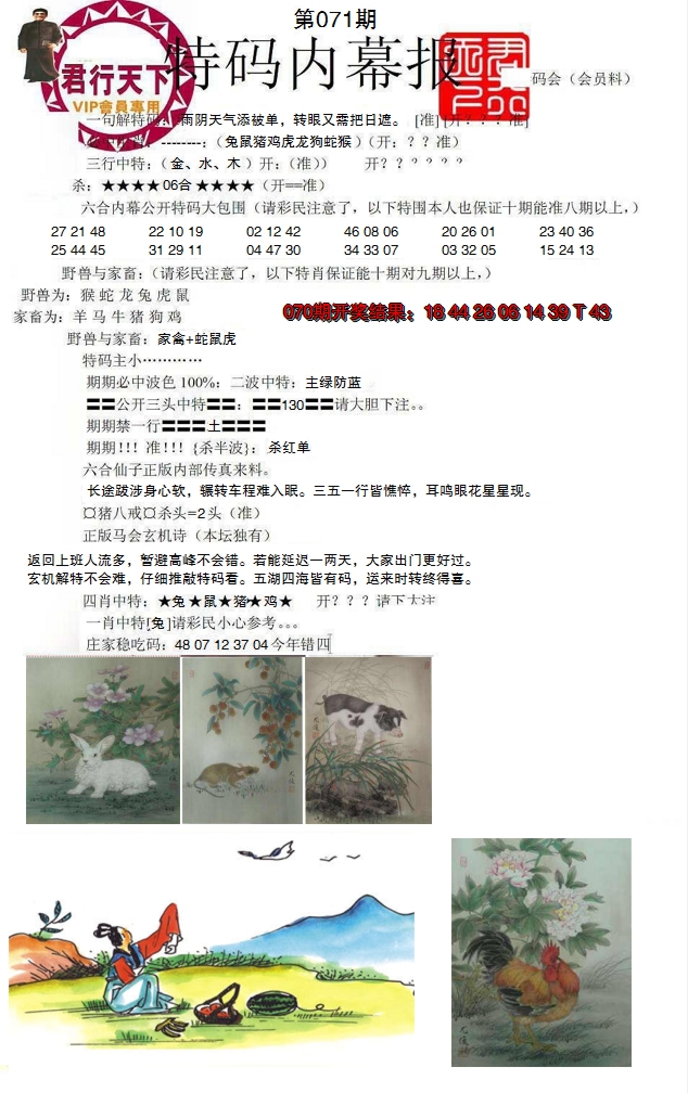 图片加载中