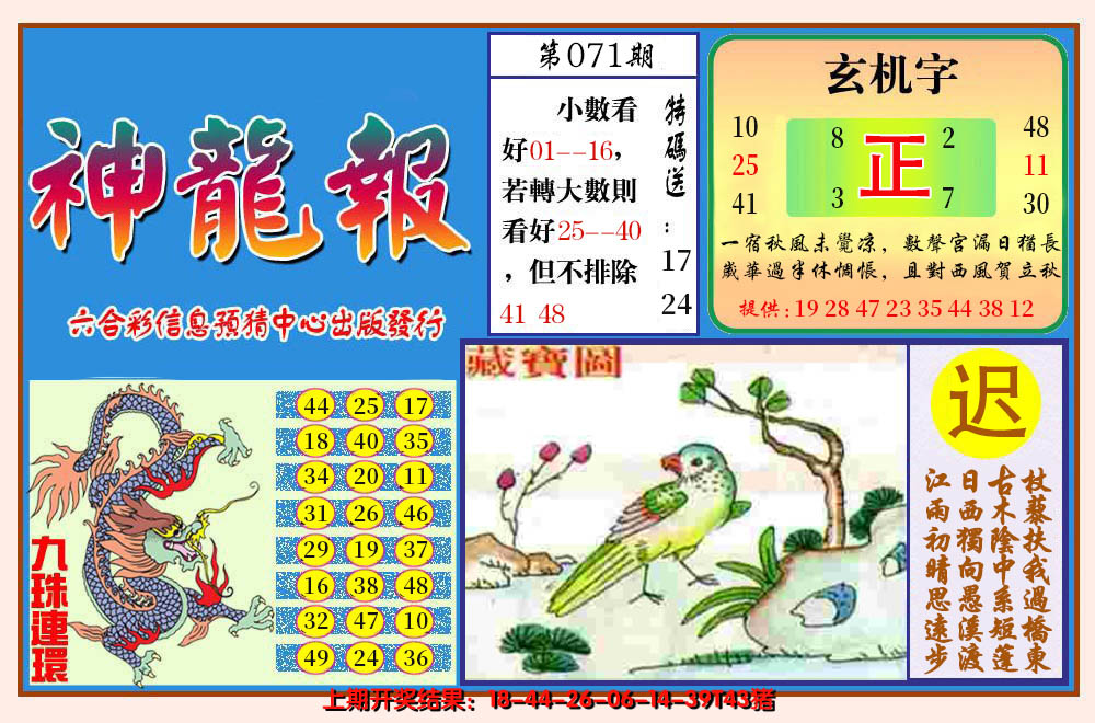 图片加载中