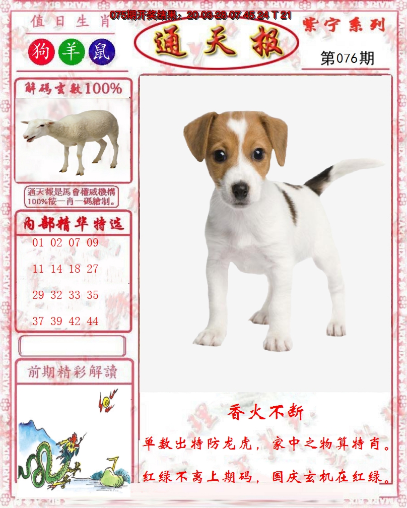 图片加载中
