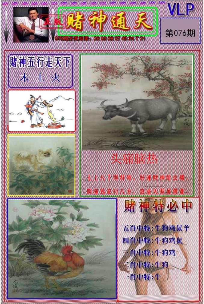 图片加载中