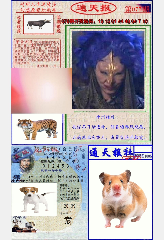 图片加载中