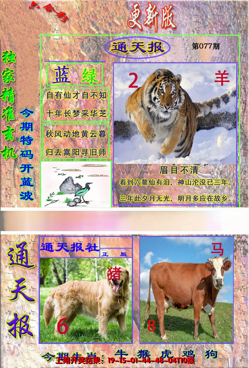 图片加载中