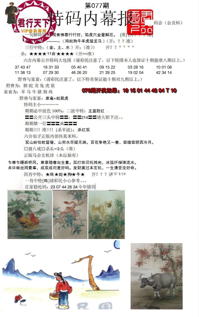 图片加载中