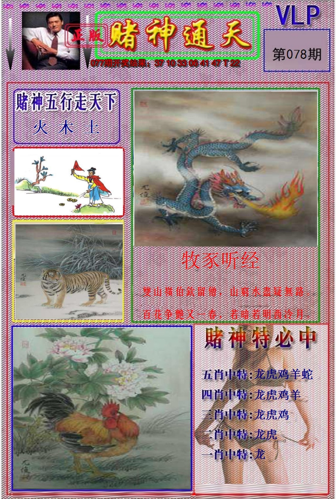 图片加载中