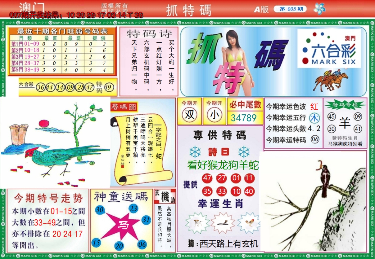 图片加载中