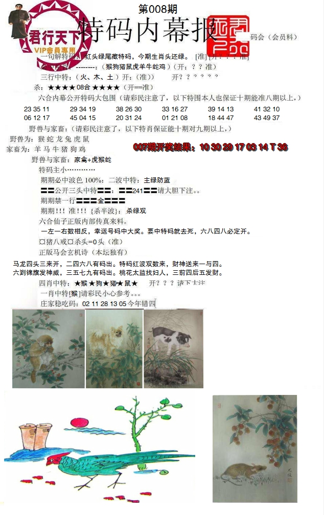 图片加载中