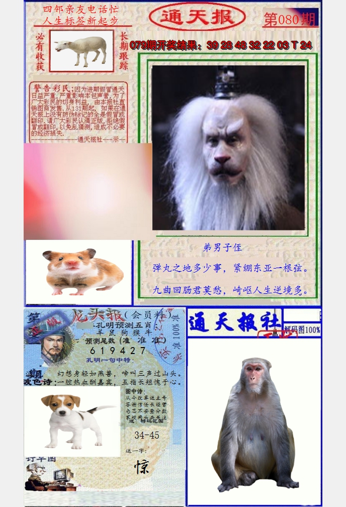 图片加载中