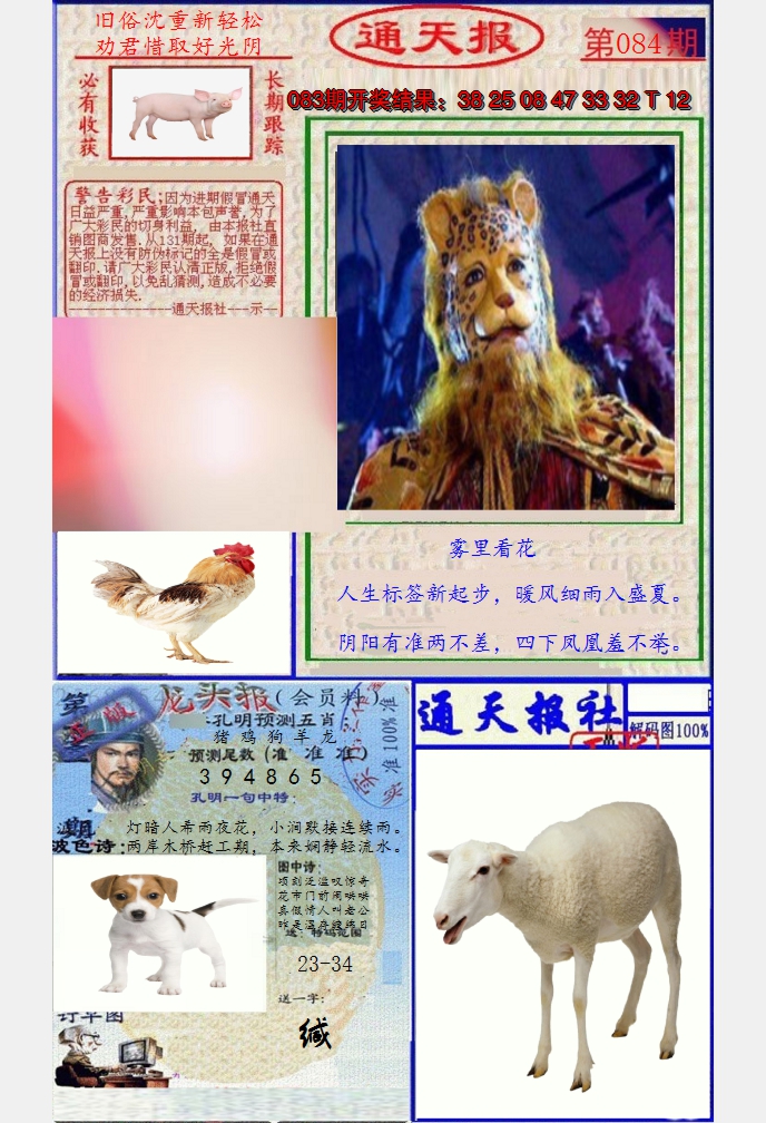图片加载中