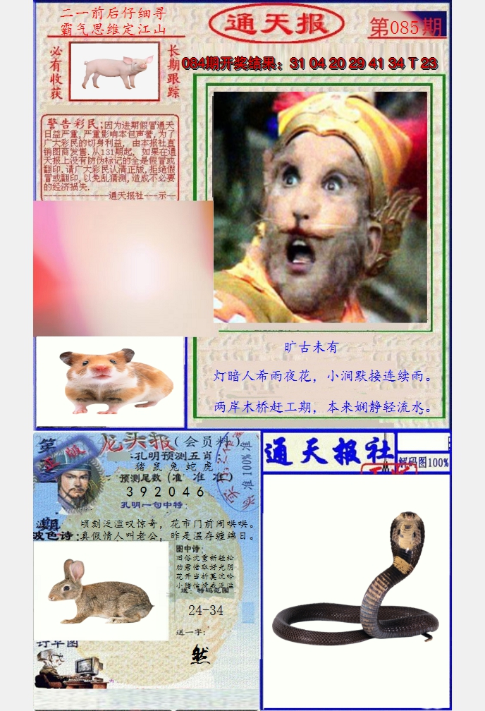 图片加载中