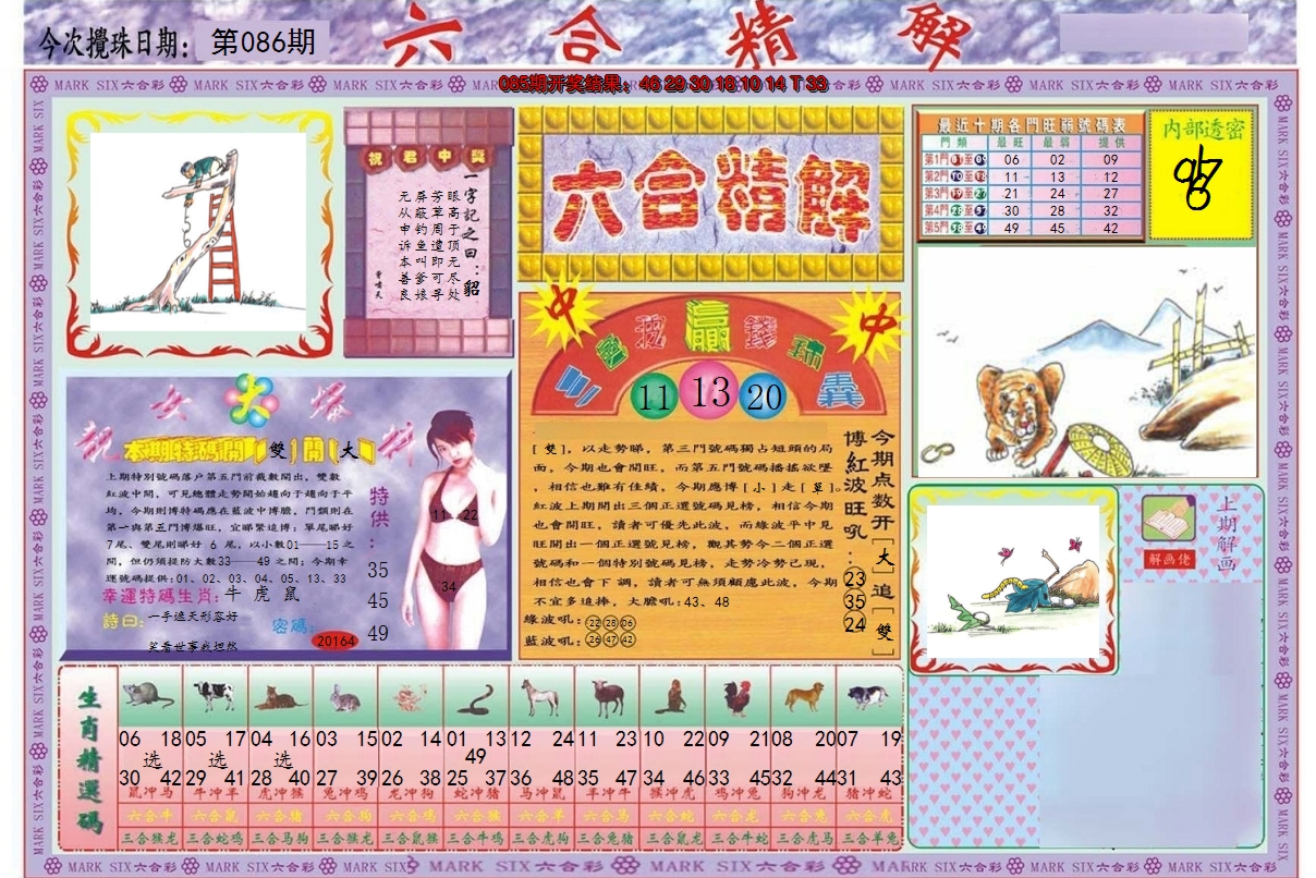 图片加载中