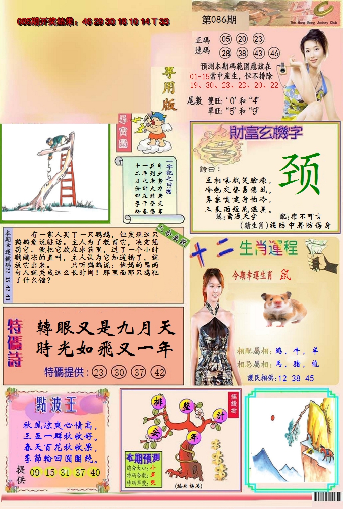 图片加载中