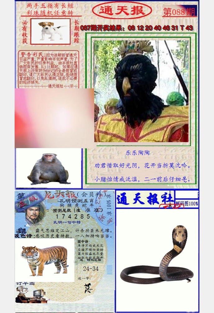 图片加载中